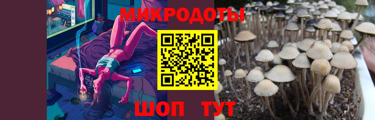 Псилоцибиновые грибы Magic Shrooms Горячий Ключ